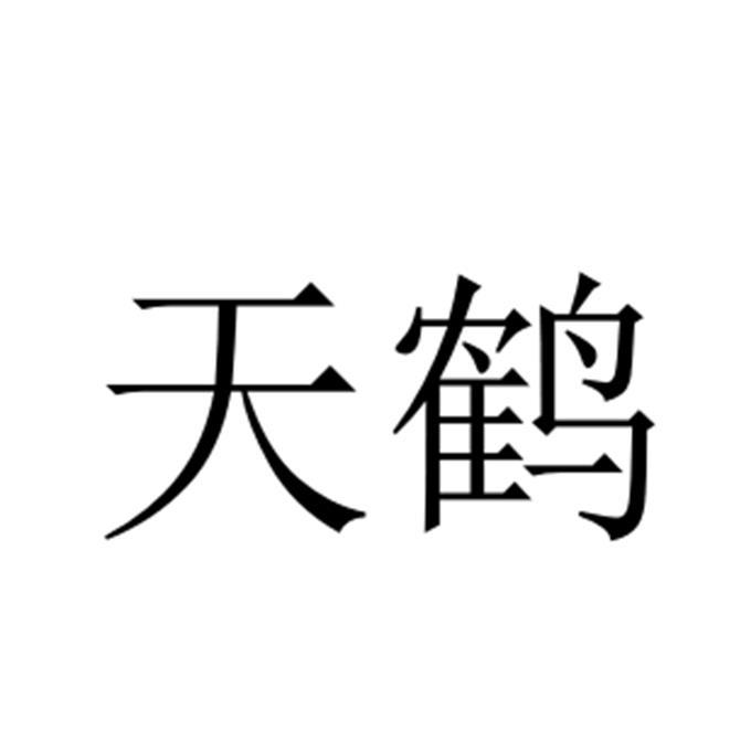 商标详情 5 浙江智廷 浙江智廷信息科技有限公司 2017-02-24 22932971