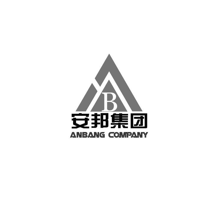 安邦集团 anbang company b