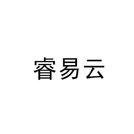 睿易云