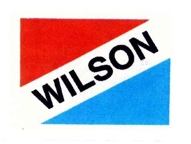 wilson_注册号35889217_商标注册查询 天眼查