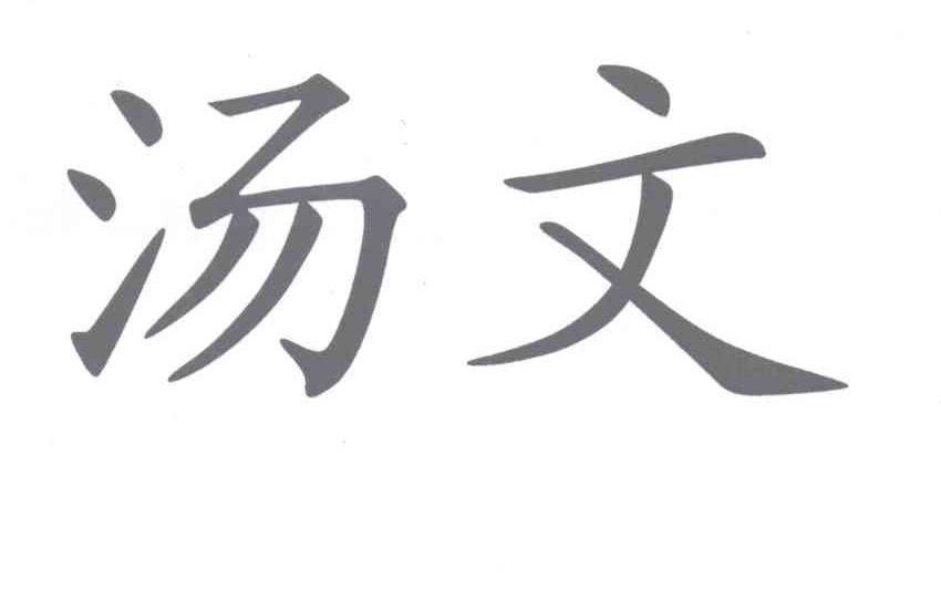 汤文