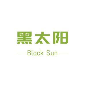 黑太阳 black sun