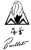 蓓蕾