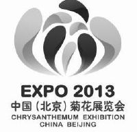 中国(北京)菊花展览会 expo 2013 chrysanthemum exhibition china