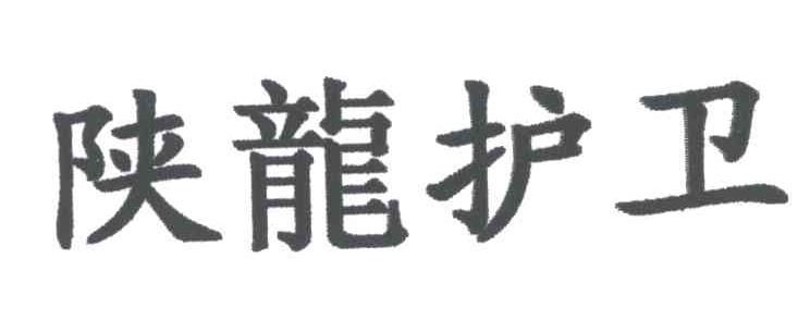 陕西金龙护卫有限公司