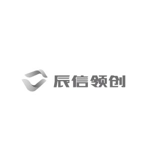 北京辰信领创信息技术有限公司