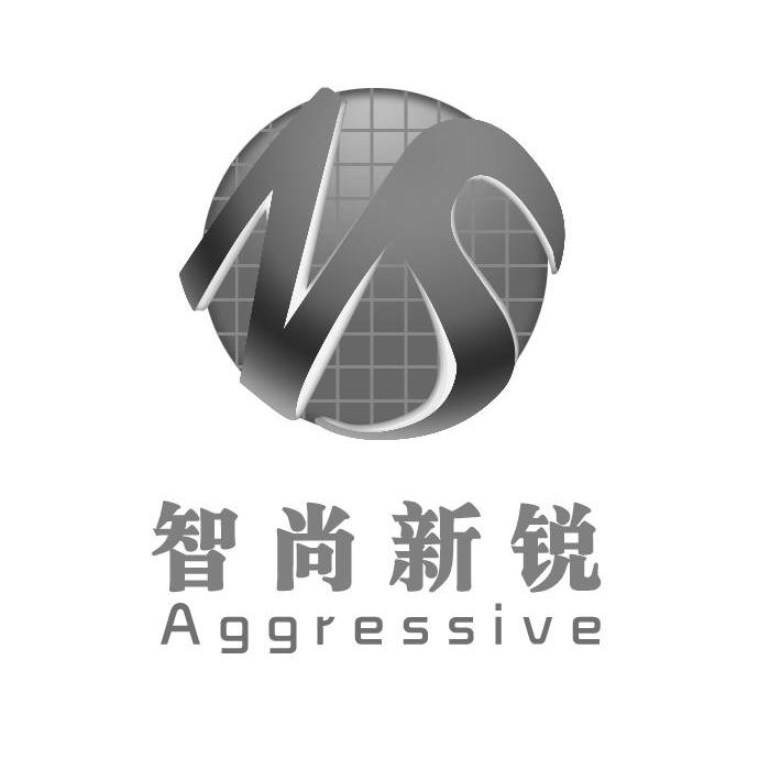 智尚新锐 aggressive ns