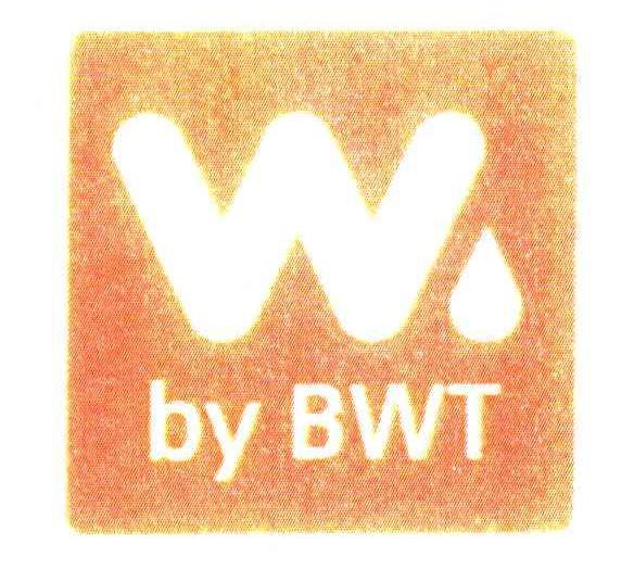 w by bwt_注册号g918857_商标注册查询 天眼查