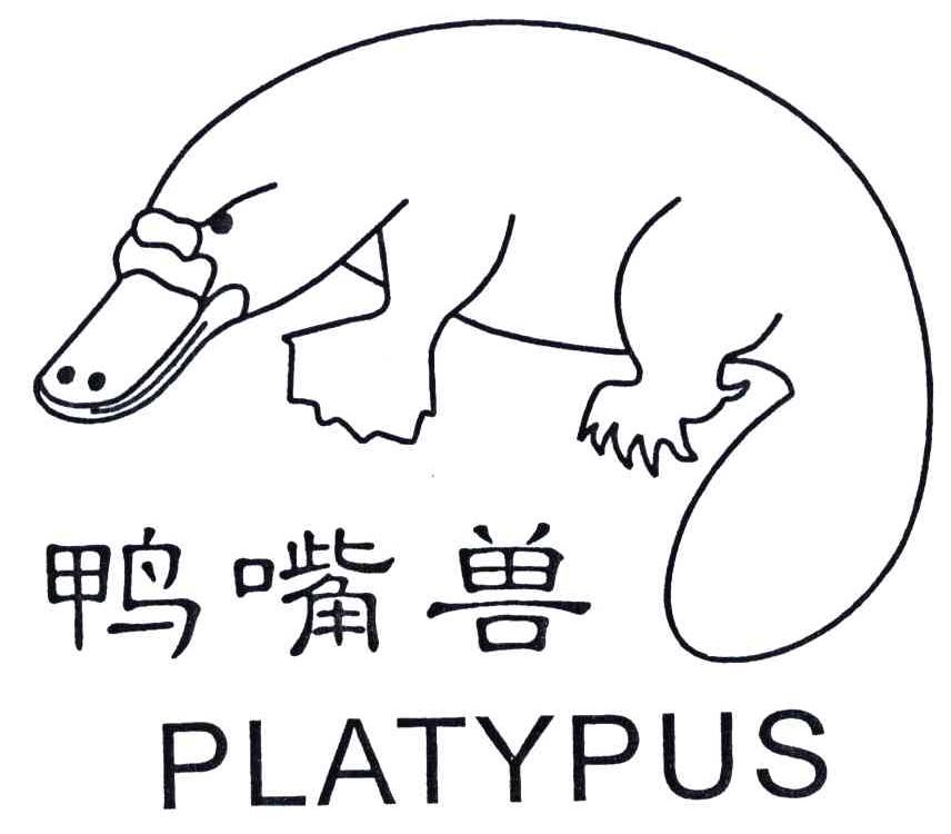 鸭嘴兽;platypus