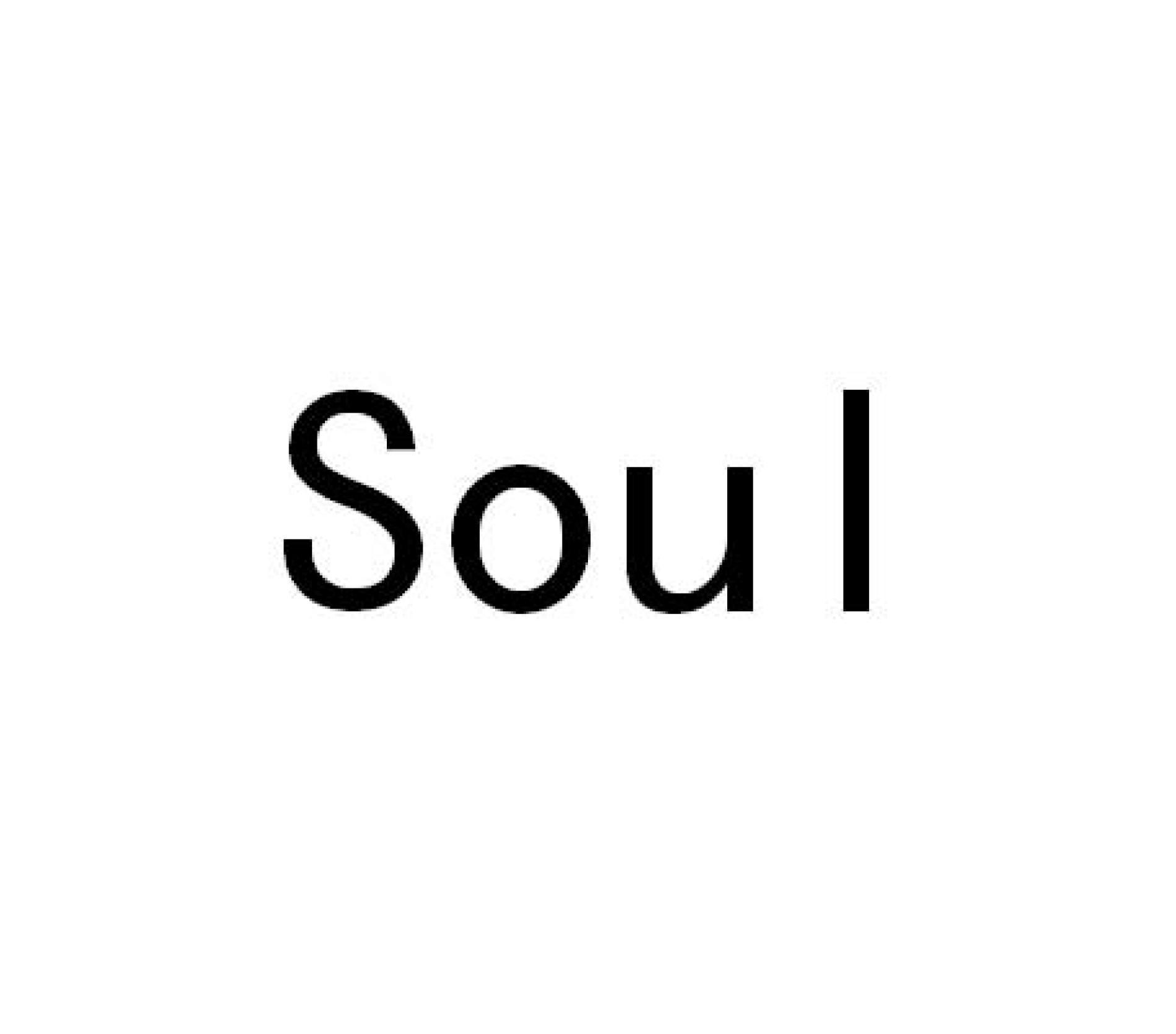 soul_注册号23245636_商标注册查询 - 天眼查