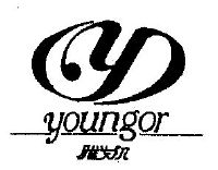 雅戈尔 youngor_注册号807824_商标注册查询 - 天眼查