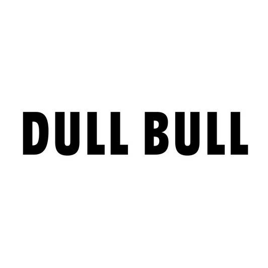 dull bull