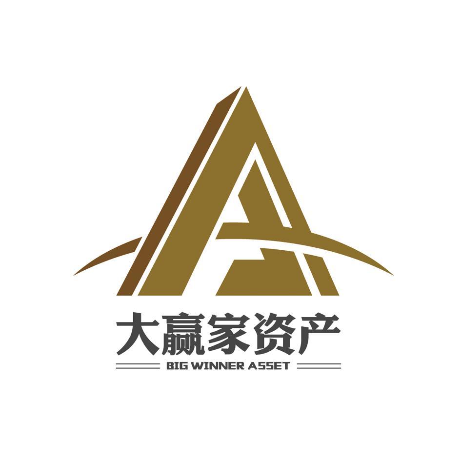 深圳市前海大赢家资产管理有限公司