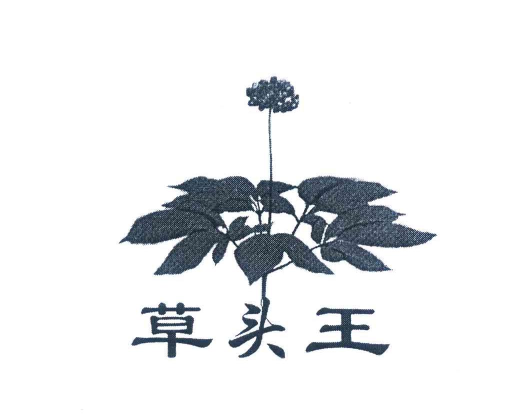 抚顺东山里草头王药材铺