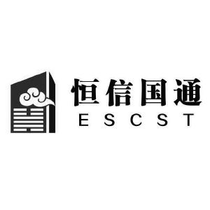 恒信国通escst