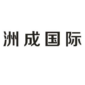 洲成国际投资有限公司