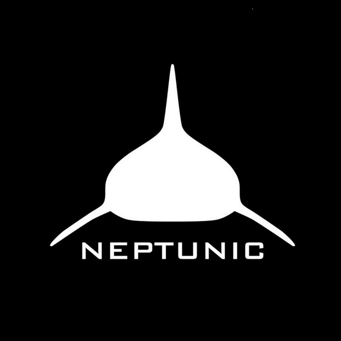 neptunic_注册号40895739_商标注册查询 - 天眼查