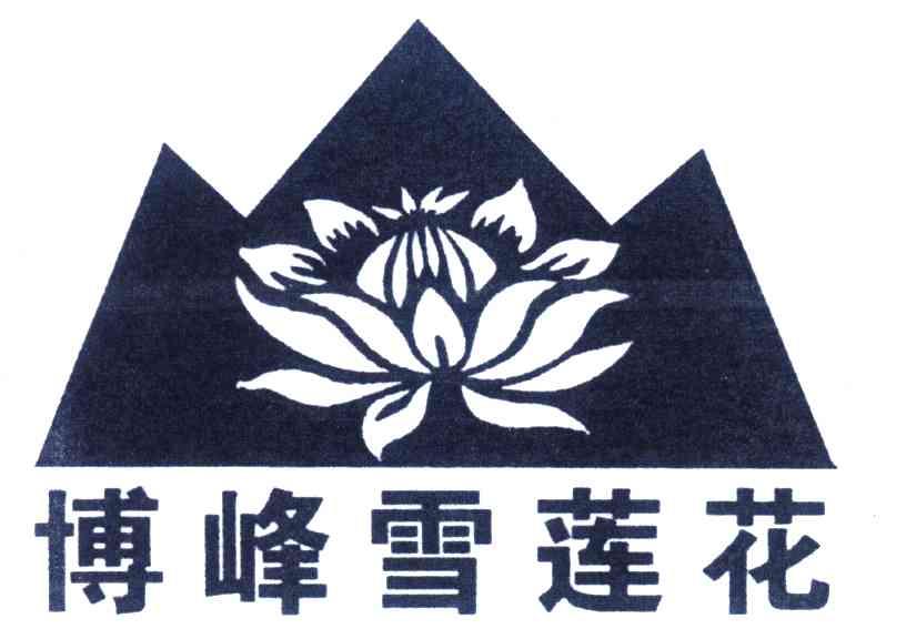博峰雪莲花