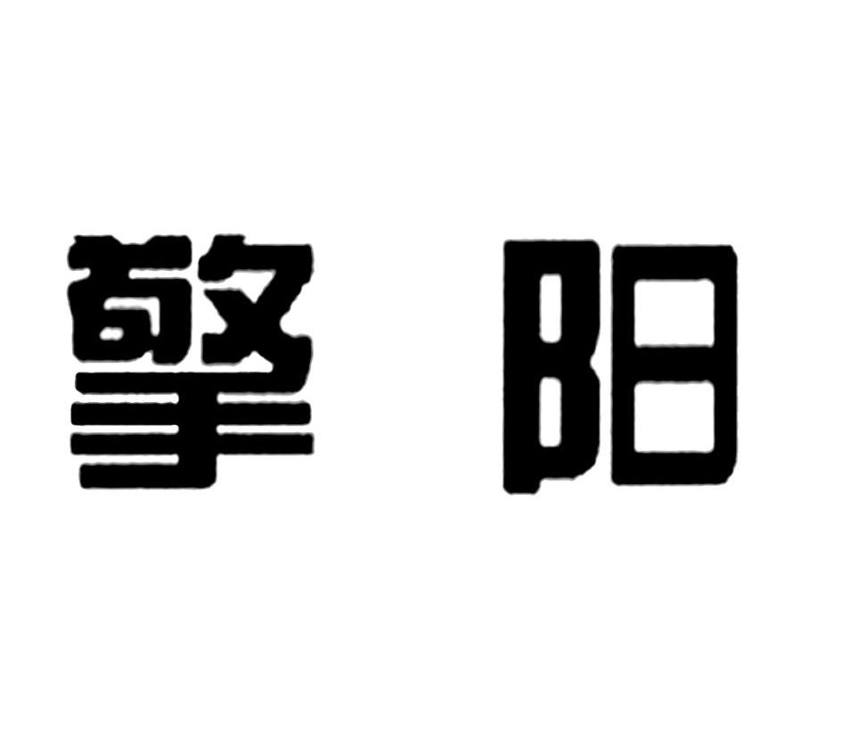 四川擎阳新材料科技有限公司