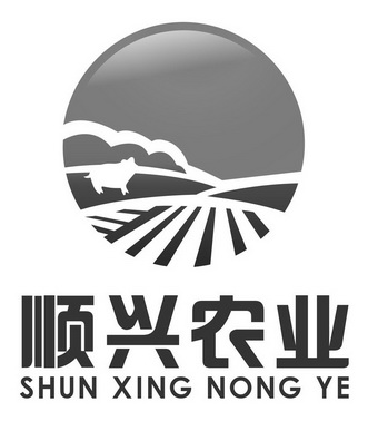 Χɹ˳ֳרҵ