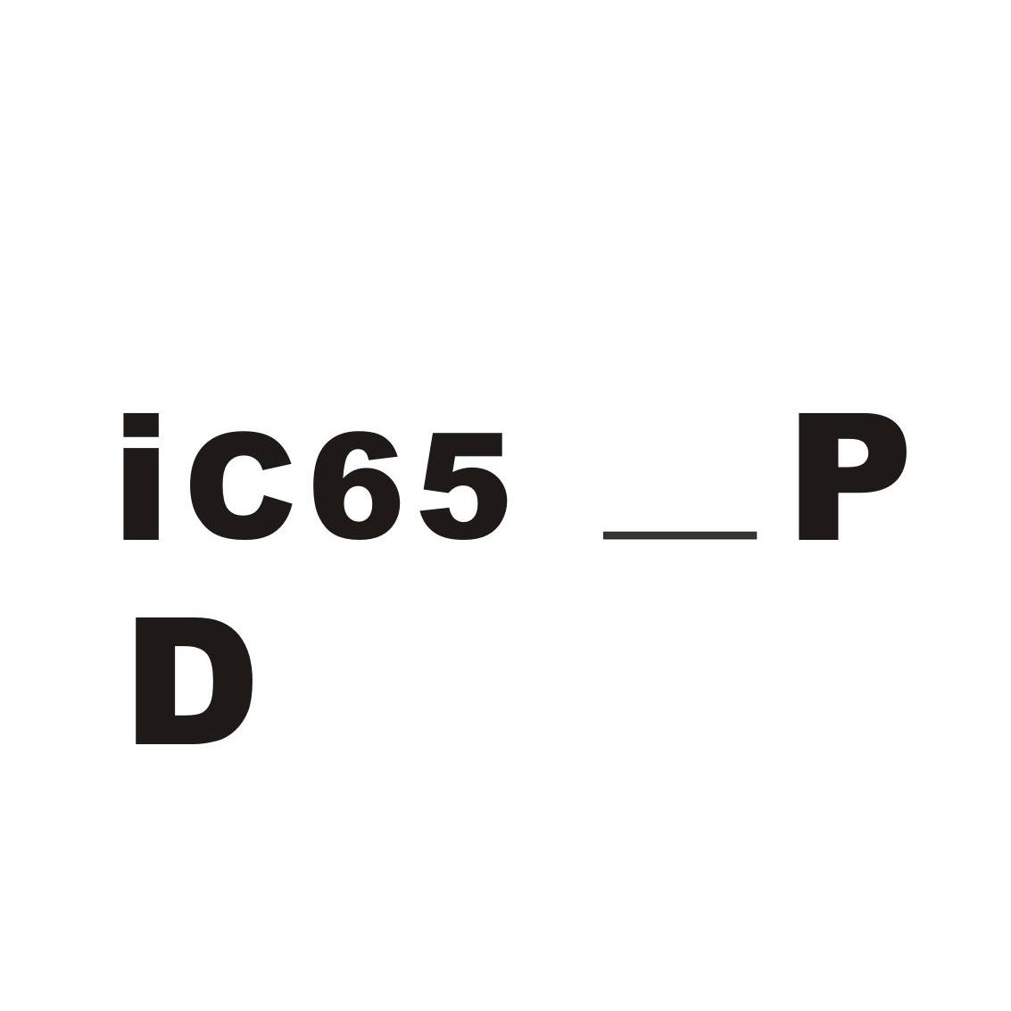 IC65＿P D