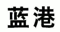 西安蓝港数字医疗科技股份有限公司