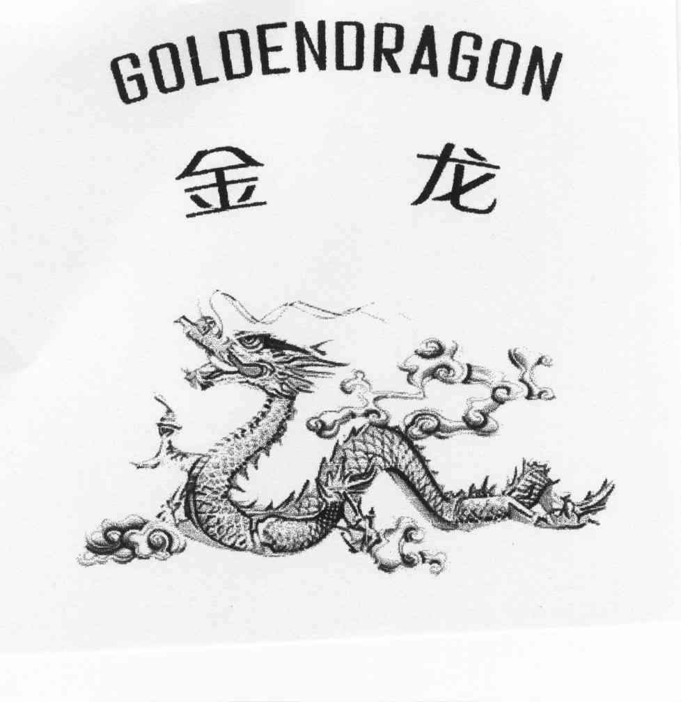 金龙goldendragon