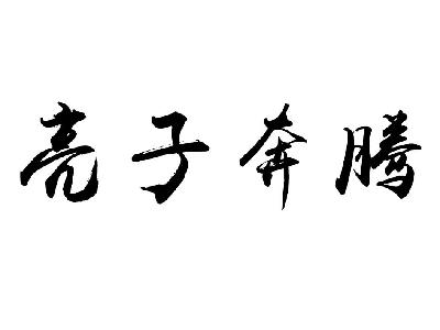 黑龙江亮子奔腾生物科技有限公司