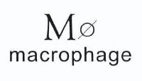 m macrophage