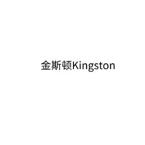 金斯顿;kingston_注册号51231364_商标注册查询 - 天眼查