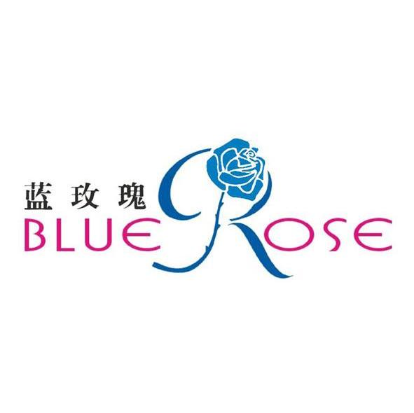 蓝玫瑰 bluerose