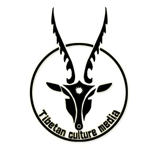 江苏藏羚羊文化传媒发展有限公司