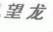 望龙