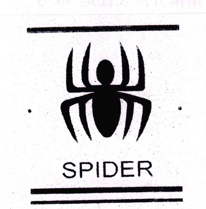 spider,spider man spider