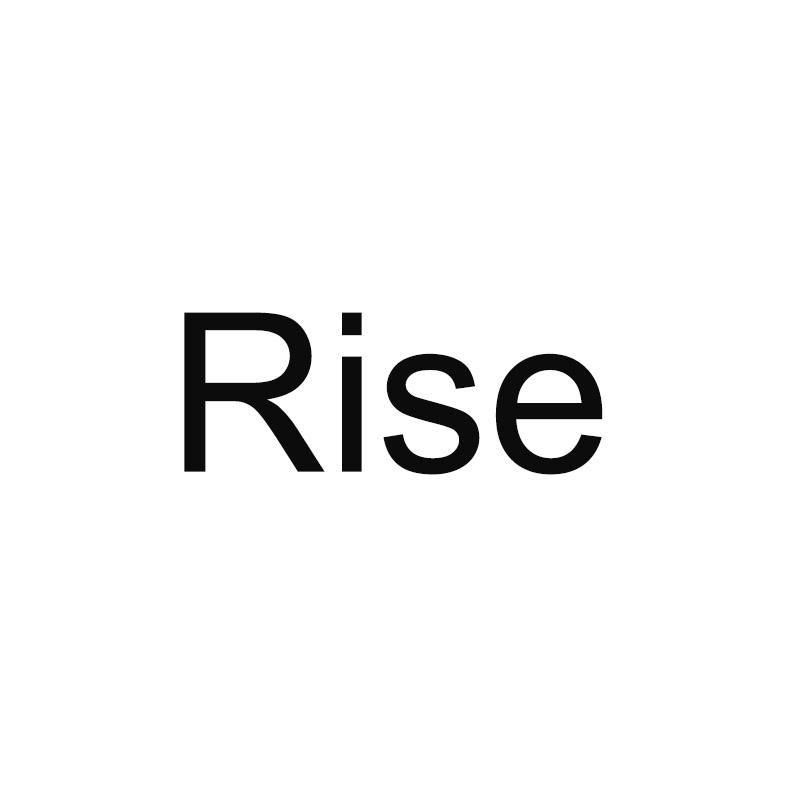 rise_注册号39023624_商标注册查询 - 天眼查