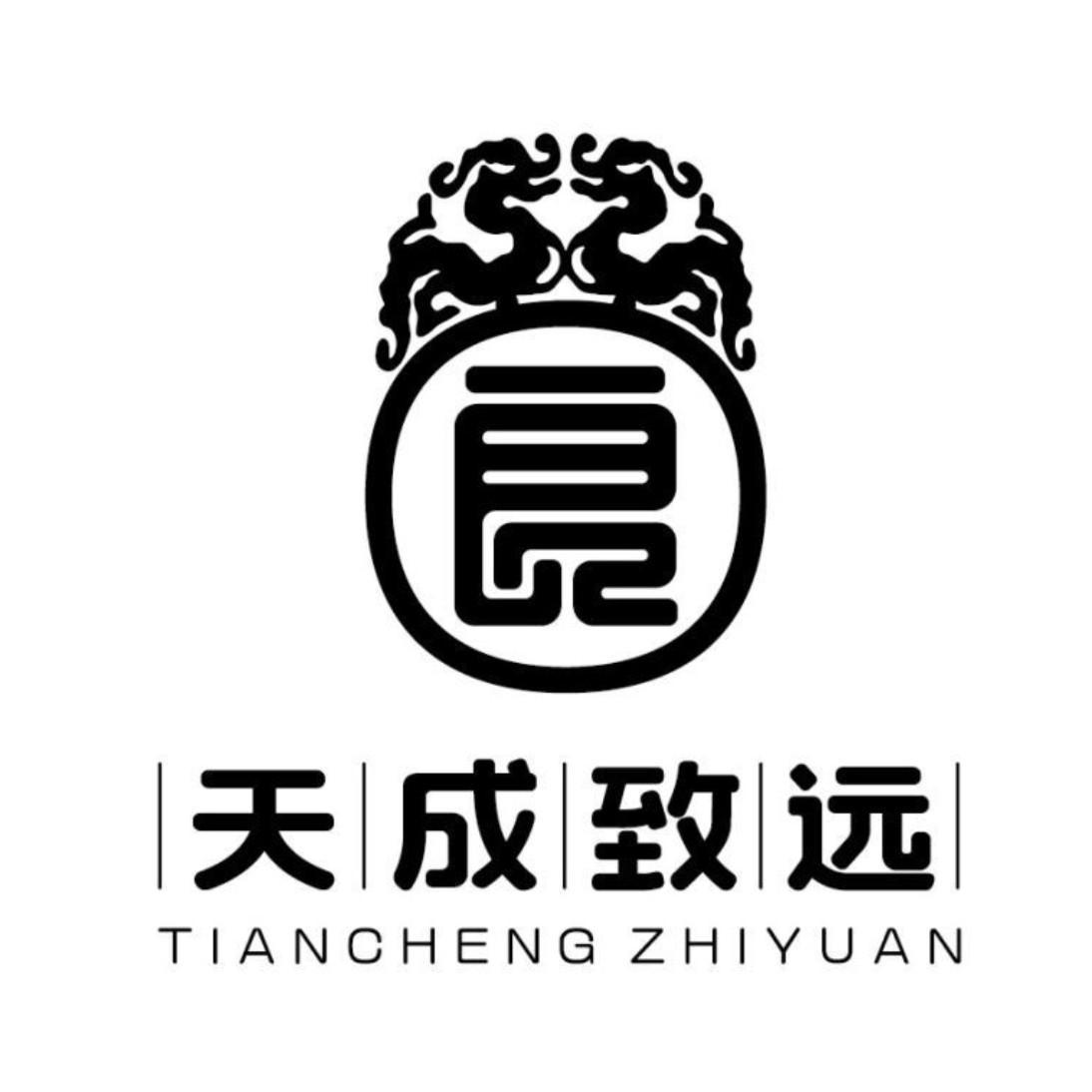 天成致远有限公司