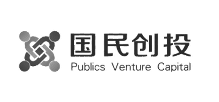 国民创投 publics venture capital