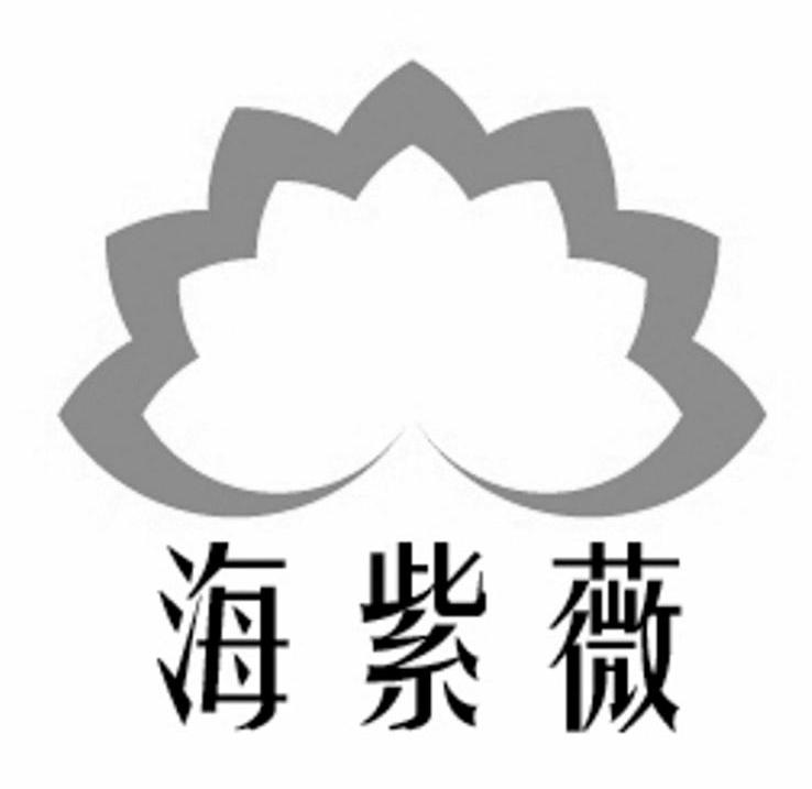 海紫薇