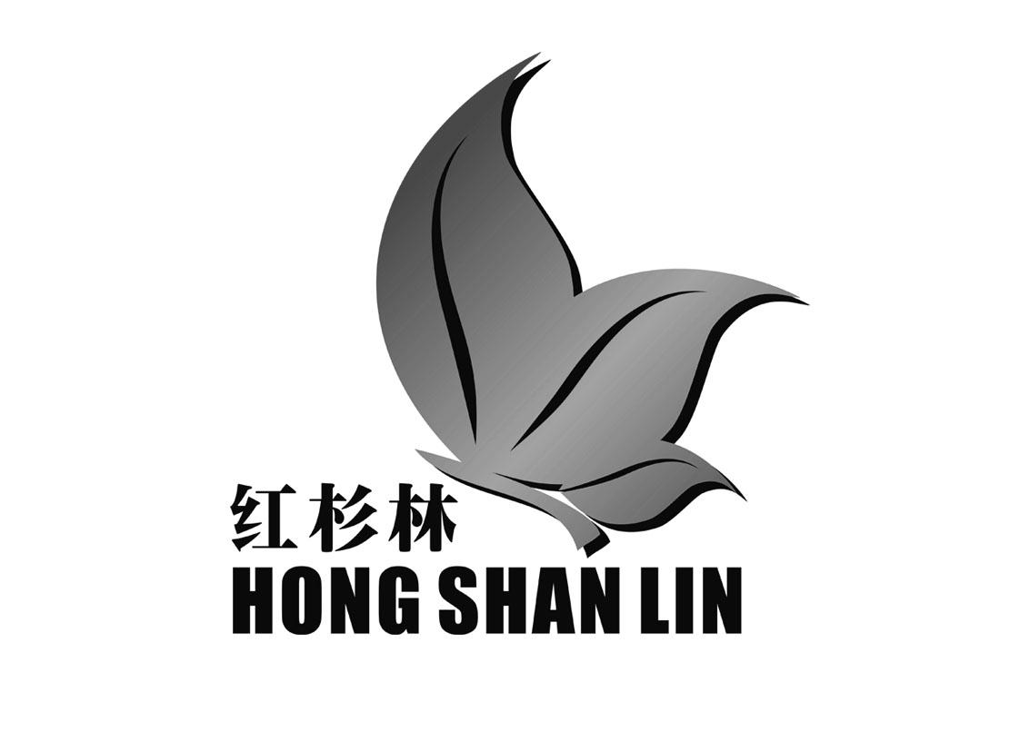 红杉林