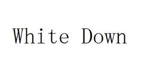 WHITE DOWN