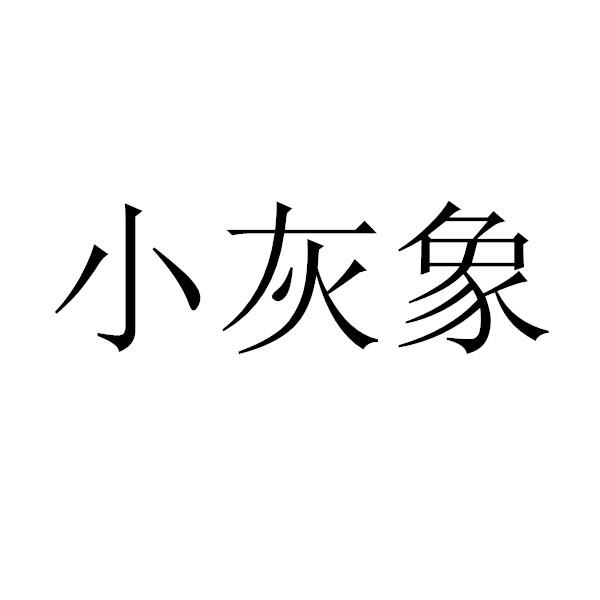 沈阳小飞象科技有限责任公司