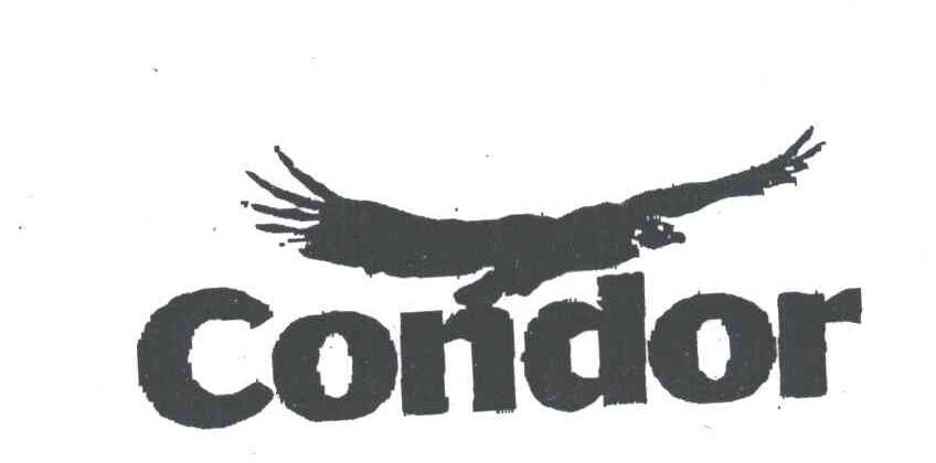 condor