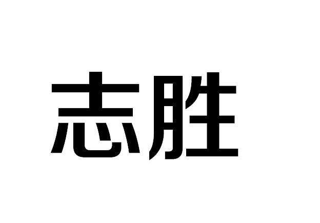 志波胜己_徐志胜女朋友_崔胜贤权志龙生子文