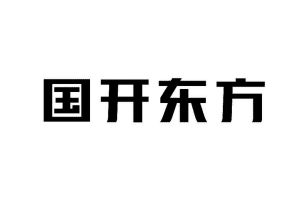 国开东方城镇发展投资有限公司