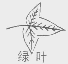绿叶