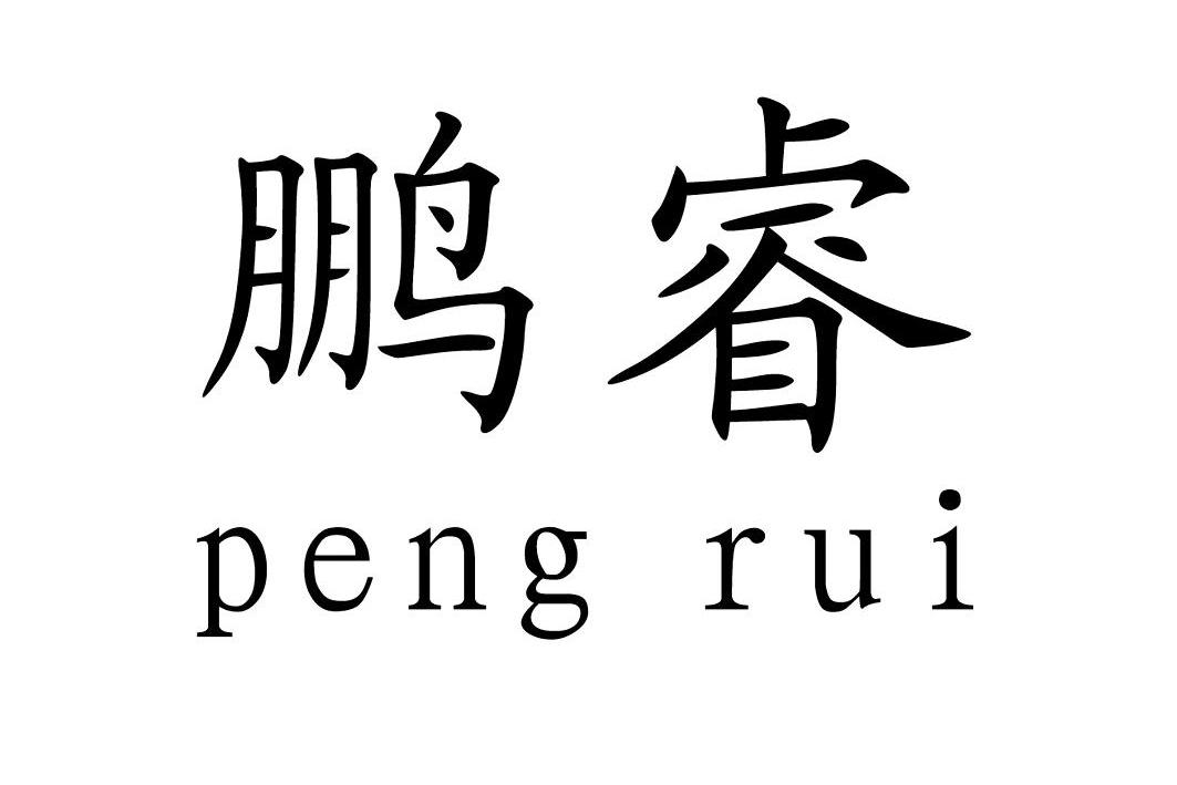 广州鹏睿信息科技有限公司