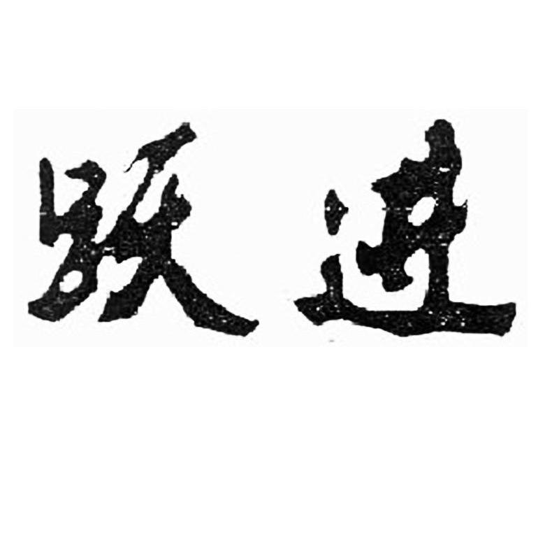 江苏跃进正宇汽车有限公司