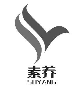 素养