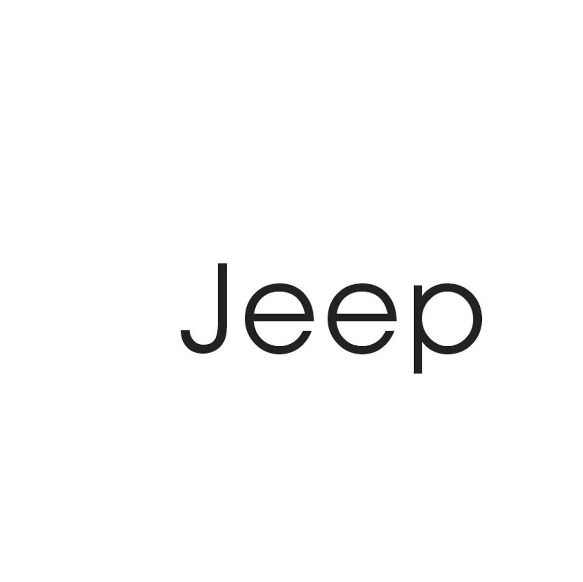 jeep注册商标查询信息 - 商标分类信息 - 天眼查