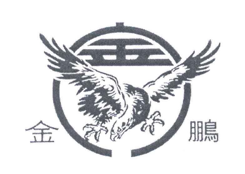 金鹏;金